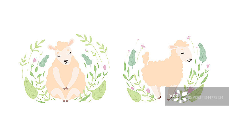 可爱的绵羊在花丛中套着可爱的小毛绒绒图片素材